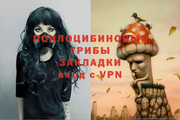 apvp Алексеевка