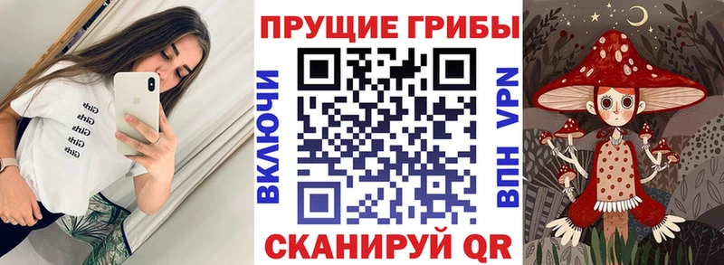 сайты даркнета состав  Дмитров  Псилоцибиновые грибы MAGIC MUSHROOMS 