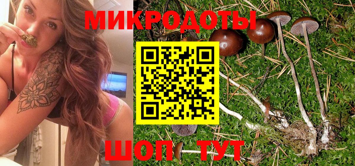 Псилоцибиновые грибы Psilocybe  Вход с VPN  Дмитров 