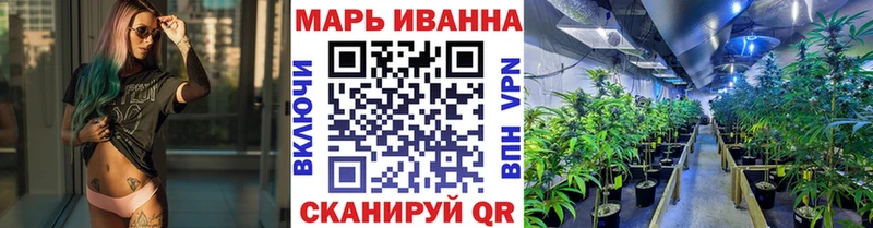Канабис план  Дмитров 